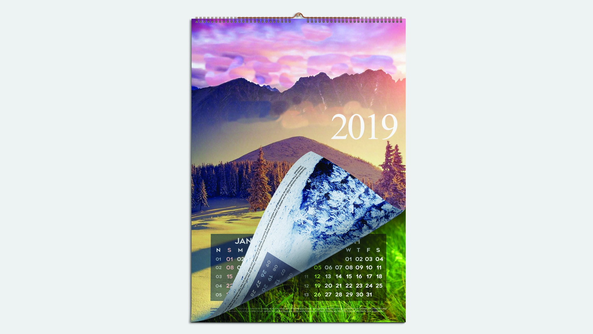 Wall Calendar (2024)